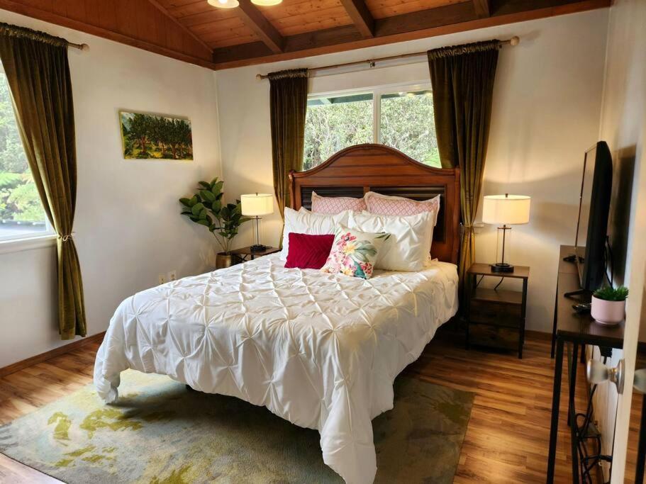 Lava Lover's Getaway Apartment Volcano