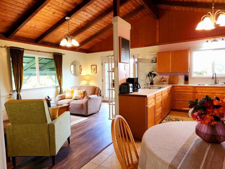 Lava Lover's Getaway Apartment